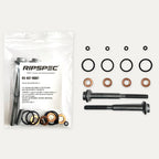 Injector Seal and Bolt Kit for VW Golf VI, Golf Plus, Jetta, Eos and Beetle 2.0 TDI (RS-KIT-10007)